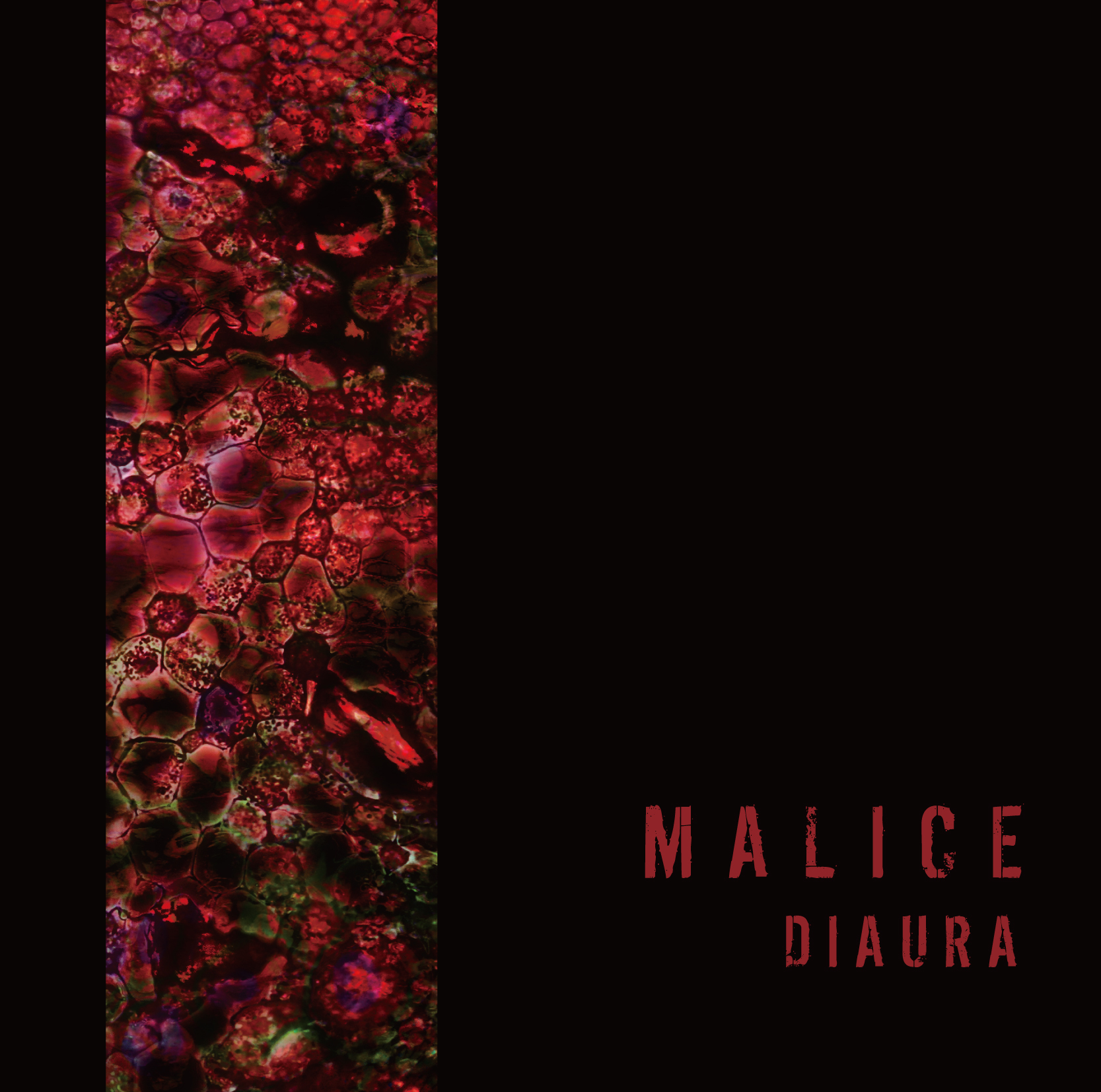 15th Single『MALICE』